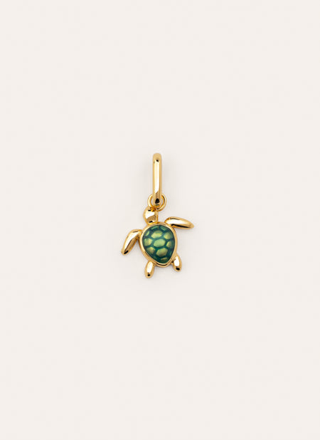 Charm Tortuga Baño Oro
