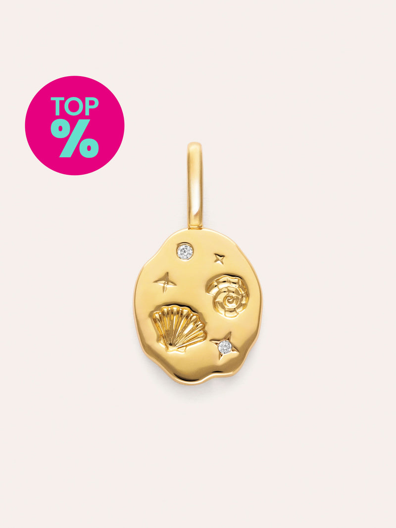 Charm Treasure Verguld met Goud