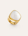 Ibiza Sterling Steel Gold Ring