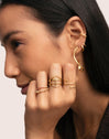 Nefertiti Pack 5 Stainless Steel Gold Rings
