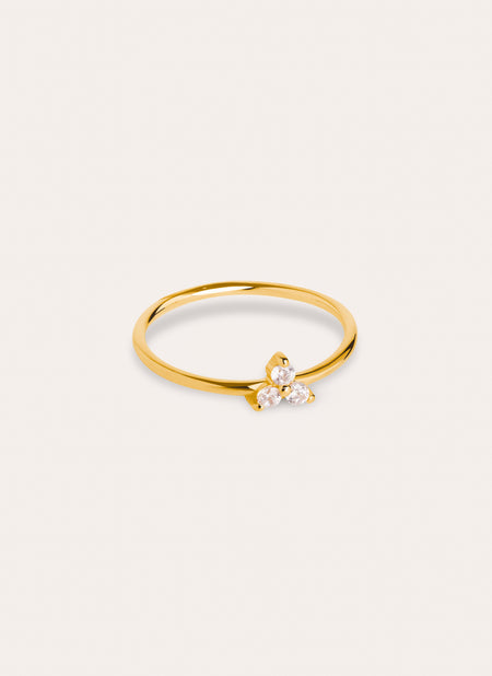 Anillo Trébol Baño Oro