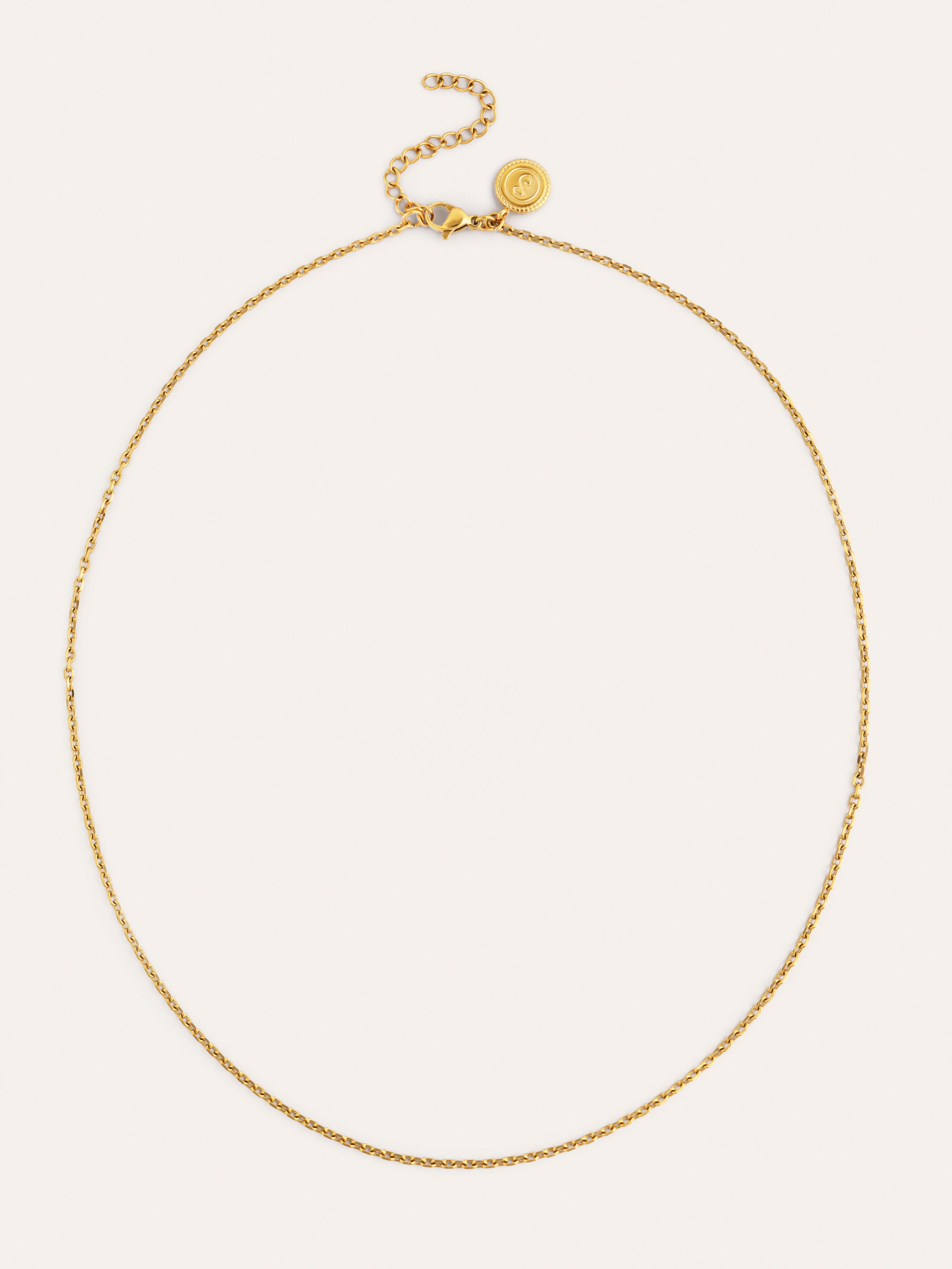 Ana Stainless Steel Gold Necklace