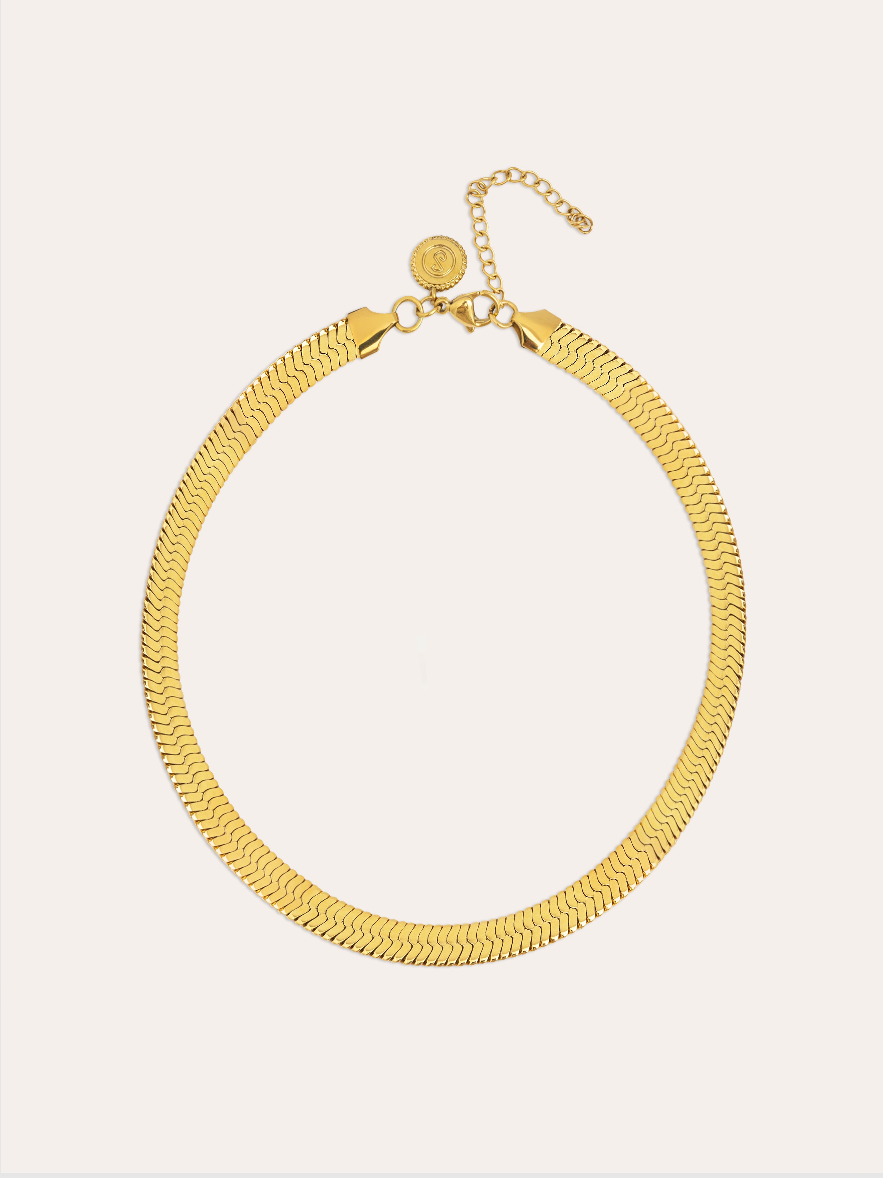 Collar Big Lisse Acero Baño Oro
