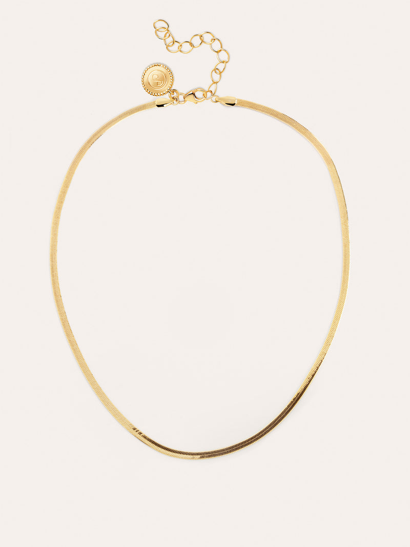 Lisse Stainless Steel Gold Necklace