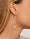 Brincos Arch Bean Pearl Aço Banho Ouro - puesto en modelo
