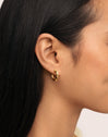 Organic River Stainless Steel Gold Earrings