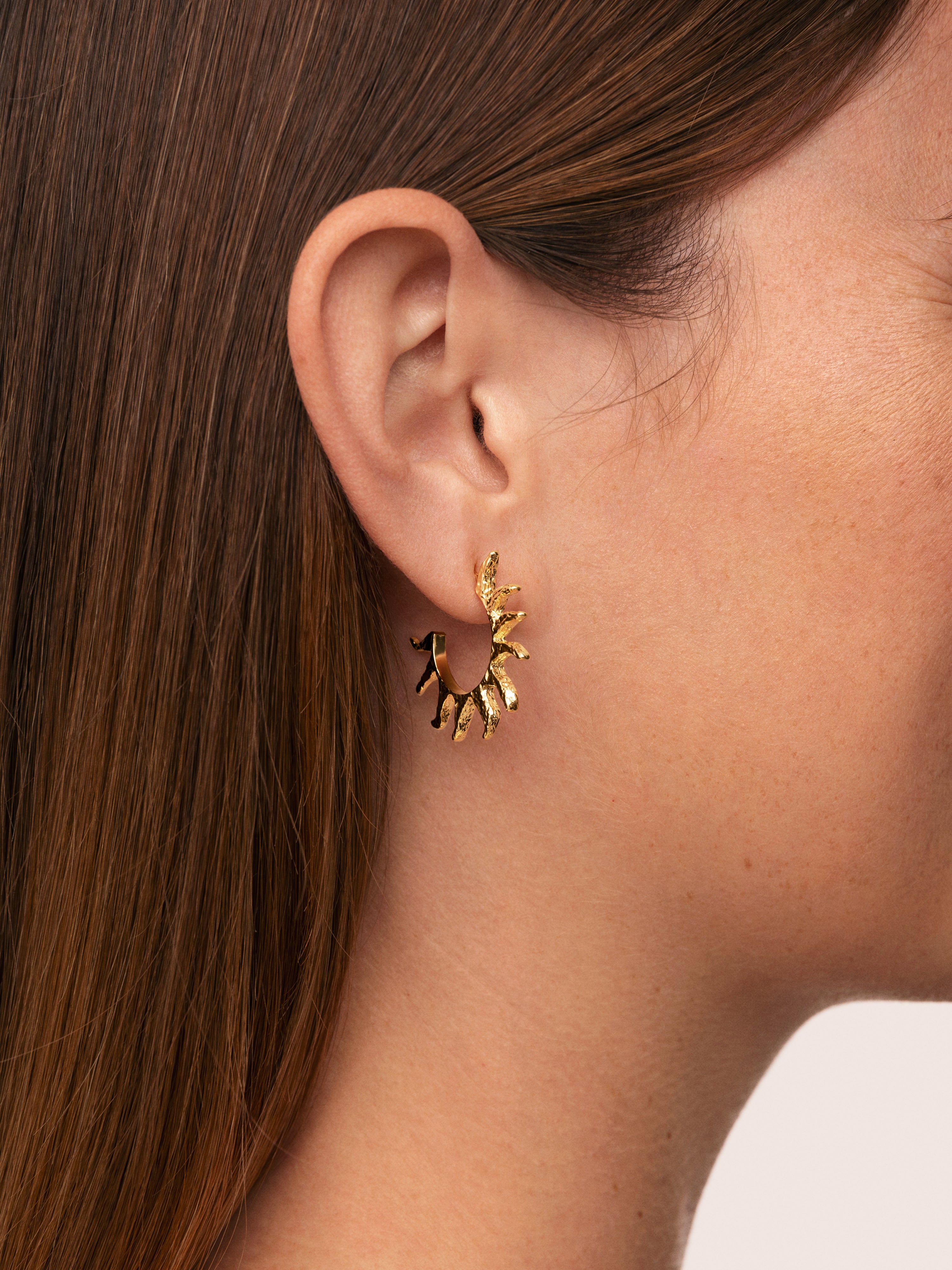 Sun Stainless Steel Gold Hoop Earrings