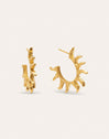 Sun Stainless Steel Gold Hoop Earrings