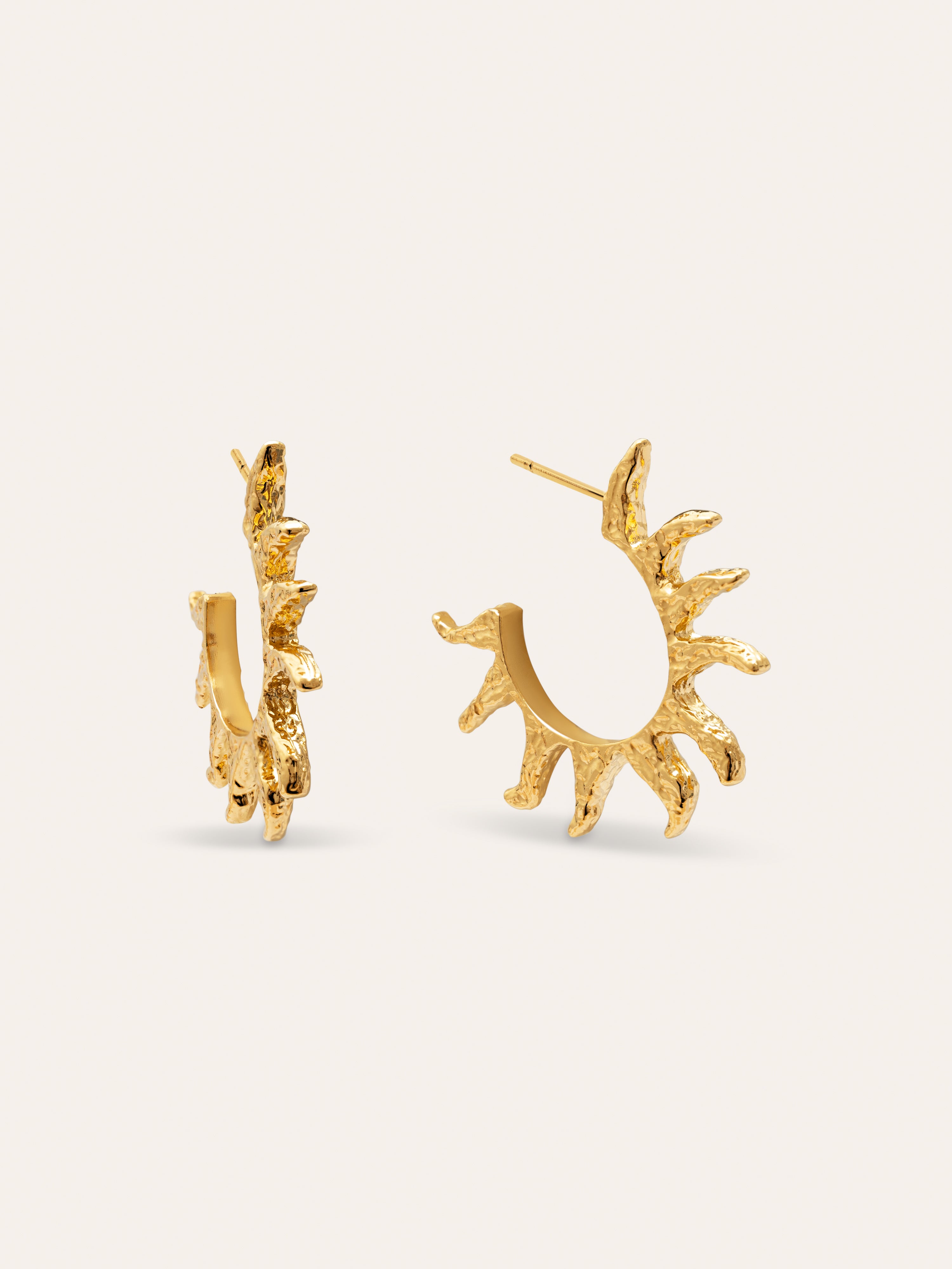 Sun Stainless Steel Gold Hoop Earrings