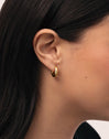 Carmen S Stainless Steel Gold Earrings