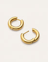 Carmen S Stainless Steel Gold Earrings