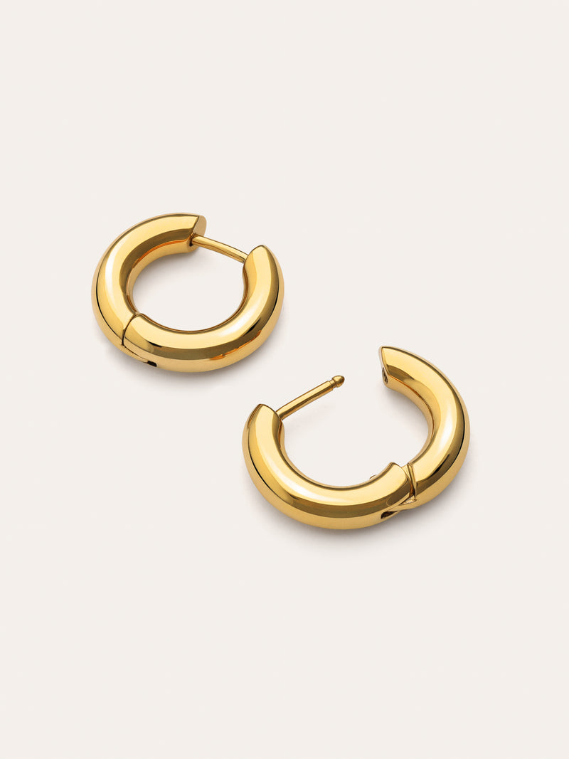 Carmen S Stainless Steel Gold Earrings