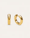 Carmen S Stainless Steel Gold Earrings