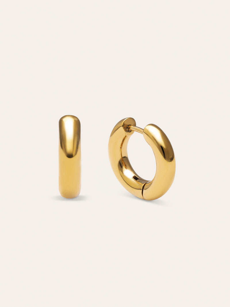 Carmen S Stainless Steel Gold Earrings