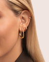 Pendientes Aro Raspberry Baño Oro