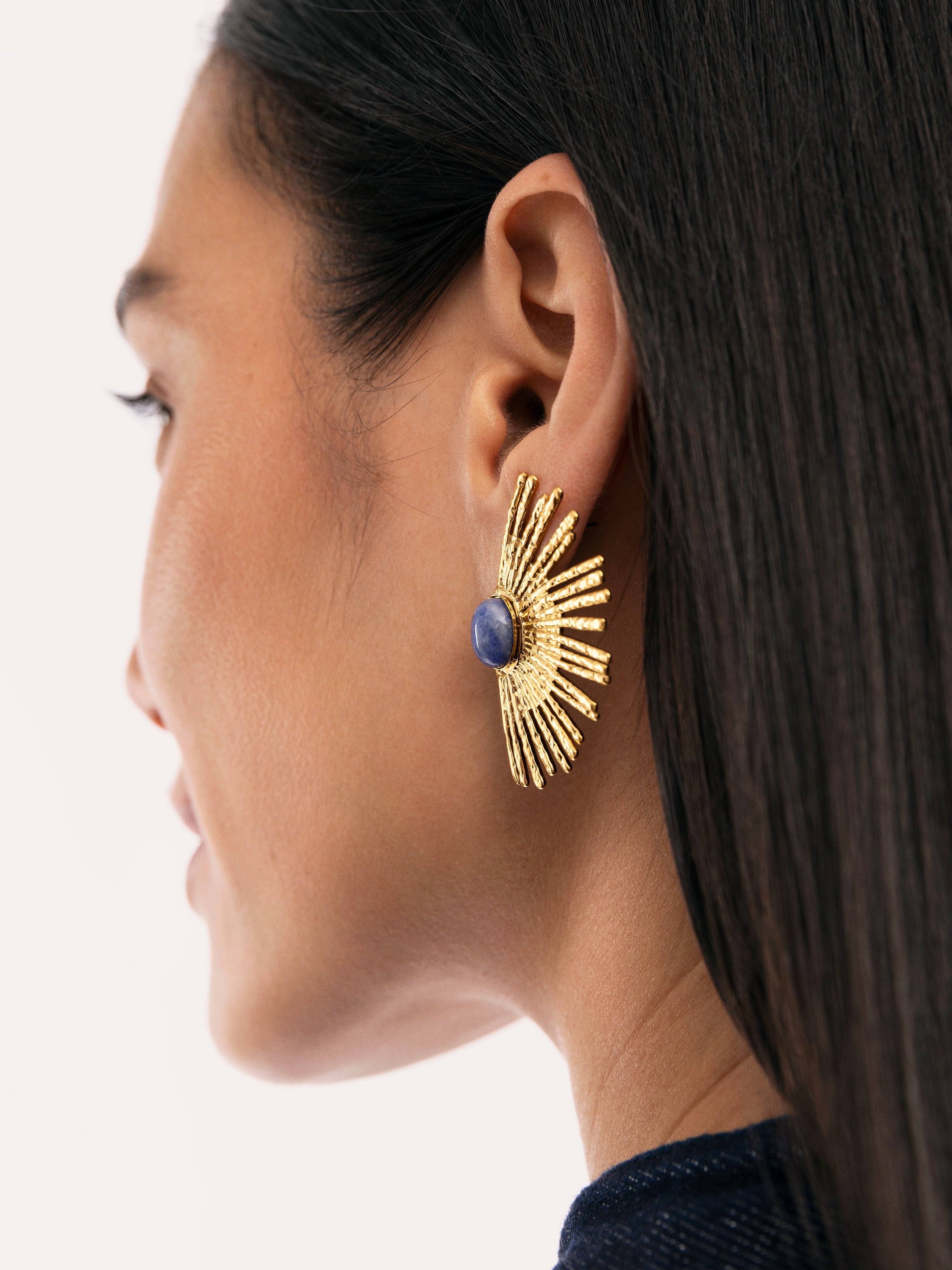 Sunbeam Blue Stainless Steel Gold Earrings