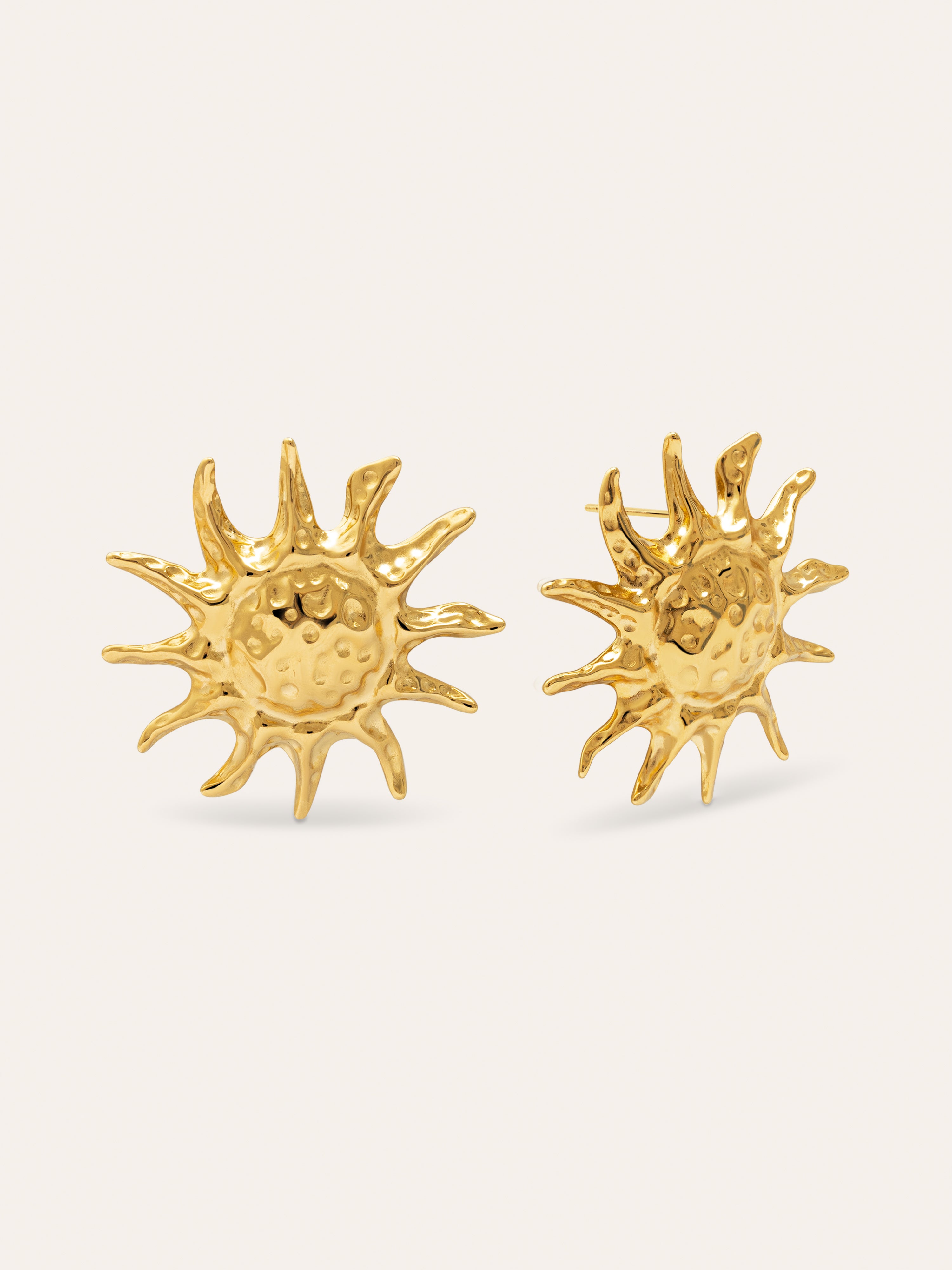 Sun Light Stainless Steel Gold Earrings