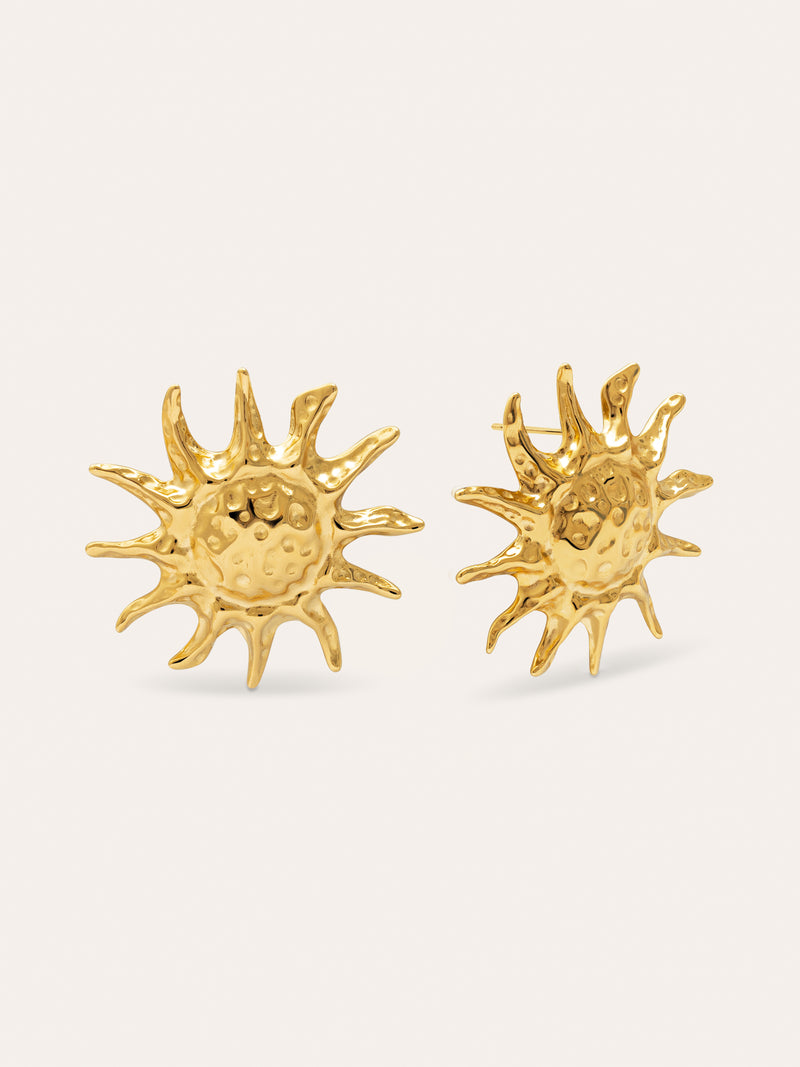 Sun Light Stainless Steel Gold Earrings