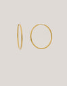 Maria L Hoops Stainless Steel Gold 