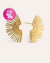 Sunbeam Stainless Steel Gold Earrings