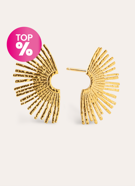 Sunbeam Stainless Steel Gold Earrings