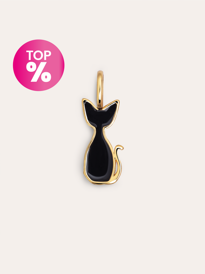 Salem Cat Enamel Black Gold Charm